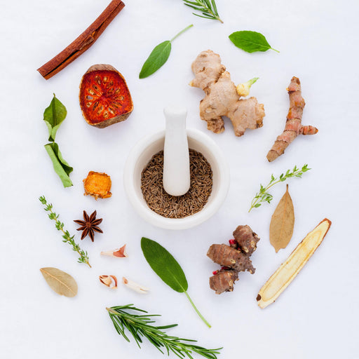 What Are Nootropics?