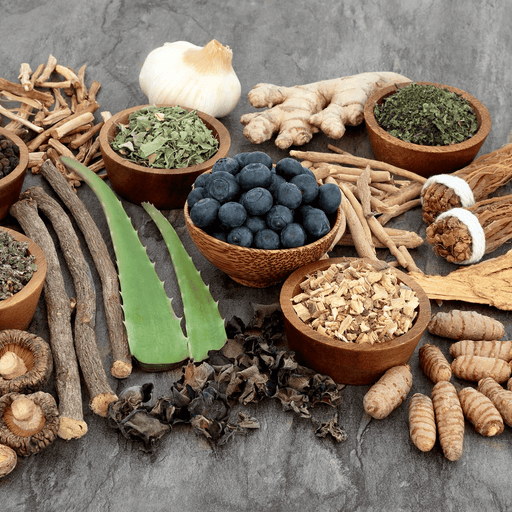 What are the Best Adaptogens to Add to Your Diet?