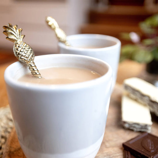 mushroom tea with lions mane and cacao